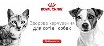 Sprzedam karmę dla psów i kotów RoyalCanin, Lwów
