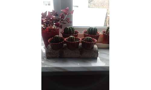 Флористика, виготовлення виробів Флористика, виготовлення виробів