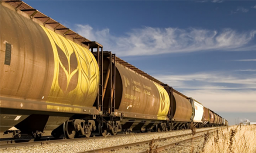 Заказать перевозку зерна железнодорожным транспортом