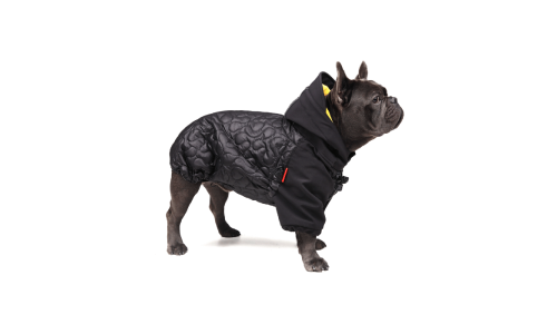 Куртка для собак с утеплителем Carbon от производителя