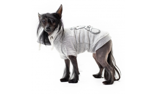 Kup ciepłą kurtkę dla psów Toy szary w Charkowie