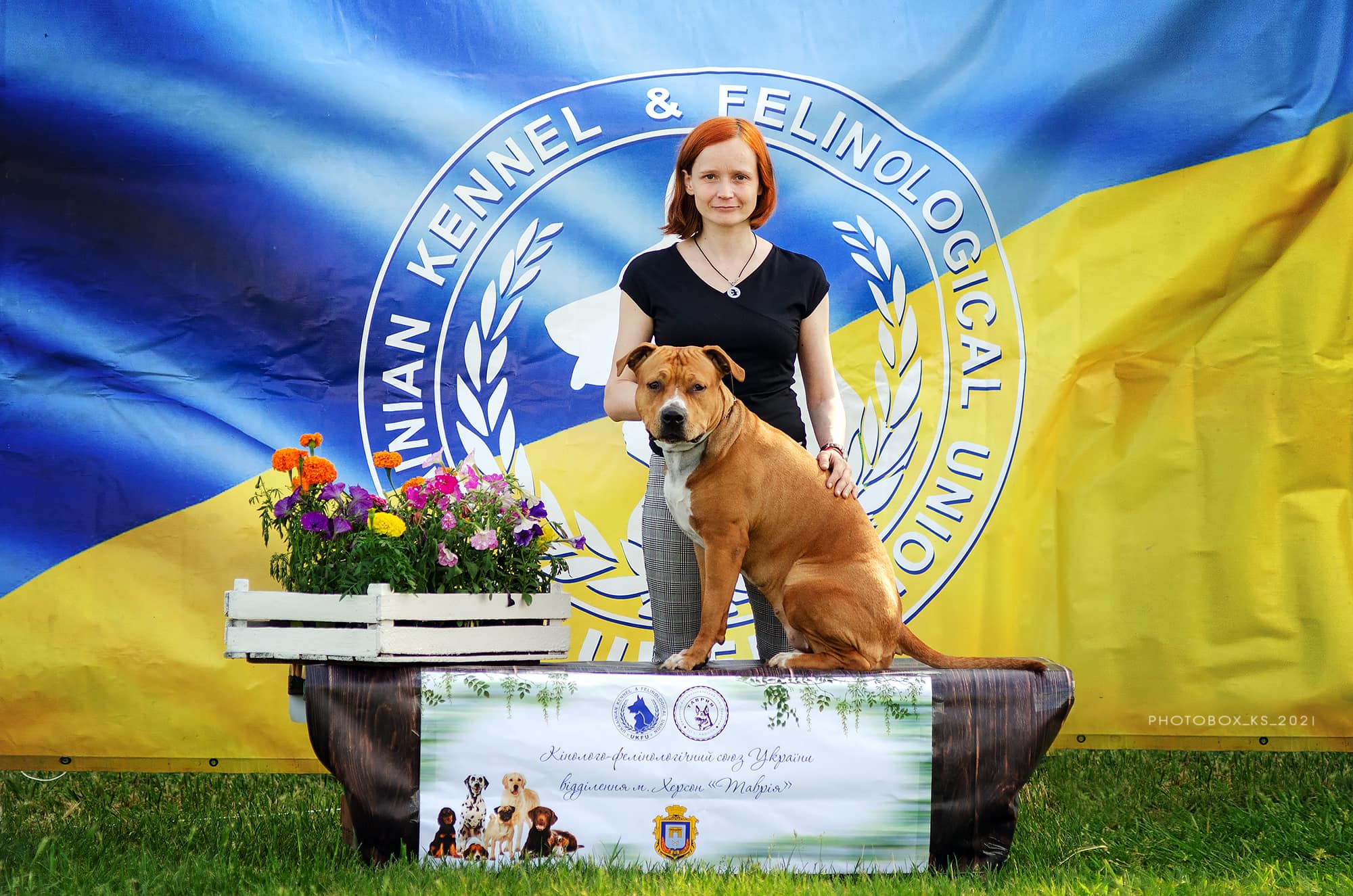 Подготовка собак во Львове к выставкам КФСУ