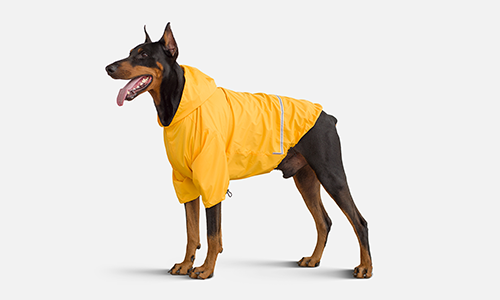 Płaszcz przeciwdeszczowy dla psa Moss, sprzedaż na Ukrainie